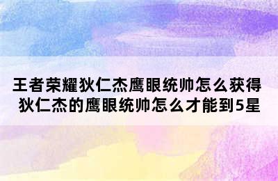 王者荣耀狄仁杰鹰眼统帅怎么获得 狄仁杰的鹰眼统帅怎么才能到5星